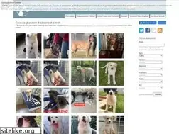Sites similar to animalisenzacasa.org