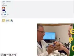 Sites similar to animalnecessity.com