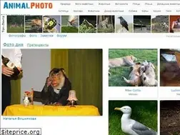 Sites similar to animalphoto.ru