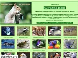 Sites similar to animalphotos.me