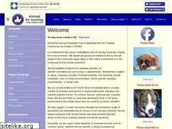 Sites similar to animalrehoming.co.nz