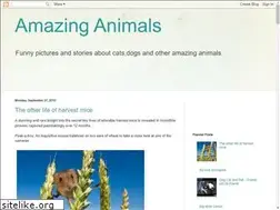 Sites similar to animals-wow.blogspot.com