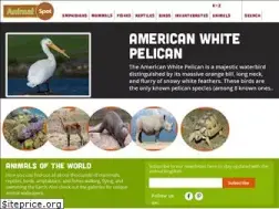 Sites similar to animalspot.net