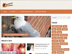 Sites similar to animalwhoop.com
