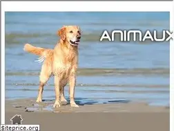Sites similar to animaux-sur-la-plage.com