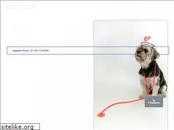 Sites similar to animauxmutuelle.fr