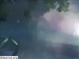 Sites similar to anime-ami.com
