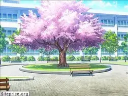 Sites similar to anime.academy