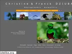 Sites similar to animode.net