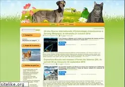 Sites similar to animogen.com