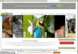 Sites similar to anipassion.com