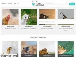 Sites similar to anipixels.com