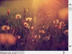 Sites similar to anitaapothecary.com