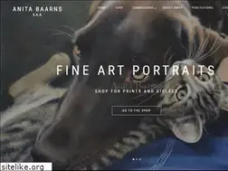 Sites similar to anitabaarns.com