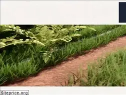 Sites similar to anitaconrad.com