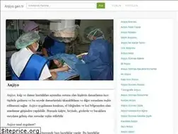 Sites similar to anjiyo.gen.tr