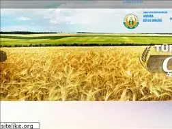 Sites similar to ankara.tarimkredi.org.tr
