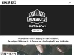 Sites similar to ankaraboks.com