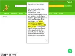 Sites similar to ankaracanliyem.com