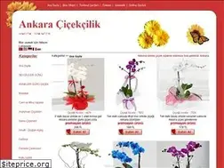 Sites similar to ankaracicek.com