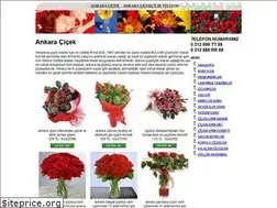 Sites similar to ankaracicek.name.tr