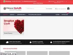 Sites similar to ankaracicekci.com.tr