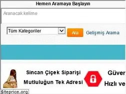 Sites similar to ankaracicekcikiz.com