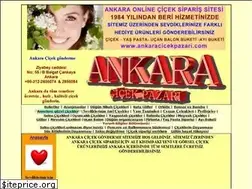Sites similar to ankaracicekpazari.com