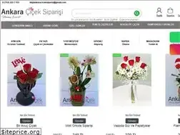 Sites similar to ankaraciceksiparisi.com