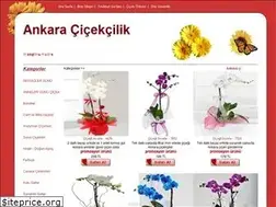 Sites similar to ankaracicekyolla.com