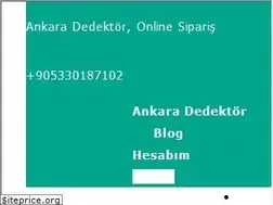 Sites similar to ankaradedektor.net