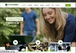 Sites similar to ankarafidan.com