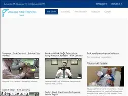 Sites similar to ankarafitikmerkezi.com