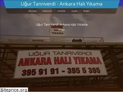 Sites similar to ankarahaliyikama.com.tr