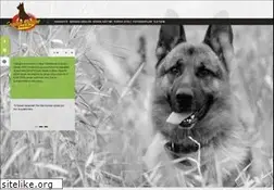 Sites similar to ankarakopekegitimi.com