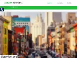 Sites similar to ankarakornisustasi.com