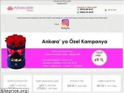 Sites similar to ankarakutudacicek.com