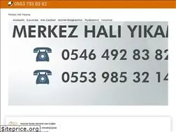Sites similar to ankaramerkezhaliyikama.com