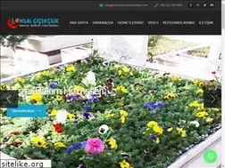 Sites similar to ankaramezarhizmetleri.com