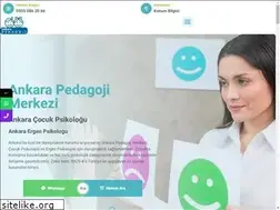 Sites similar to ankarapedagoji.com