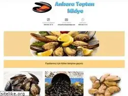 Sites similar to ankaratoptanmidye.com