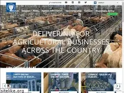 Sites similar to anmarts.co.uk