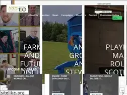 Sites similar to anmgroup.co.uk