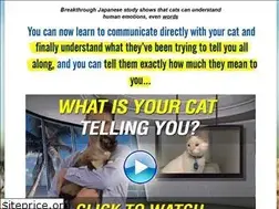 Sites similar to anmlst.co