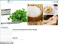 Sites similar to annediyari.com