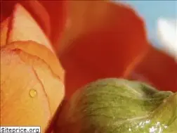 Sites similar to annettschoenefeld.de
