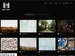 Sites similar to anniespratt.com