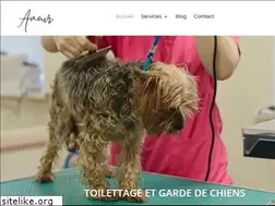 Sites similar to annoncesetanimaux.com
