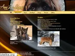 Sites similar to annslion.com