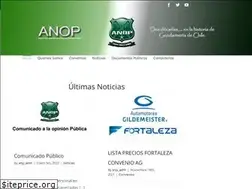 Sites similar to anop.cl